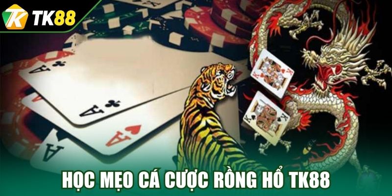 Học mẹo cá cược Rồng Hổ TK88 chuẩn xác